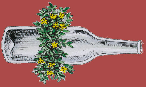 botella jardín propio alebrije sindicato audiovisual
